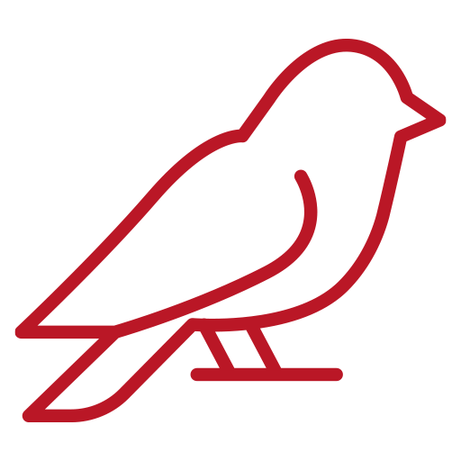 allontanamento-volatili